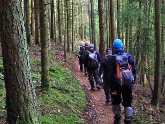 3.Volcano Trail - Coed-y-Brenin
23/11/14. Up at 150metres (492ft) close to Gallt Dol-frwynog.
Keywords: Nov14 Sunday Noel Davey