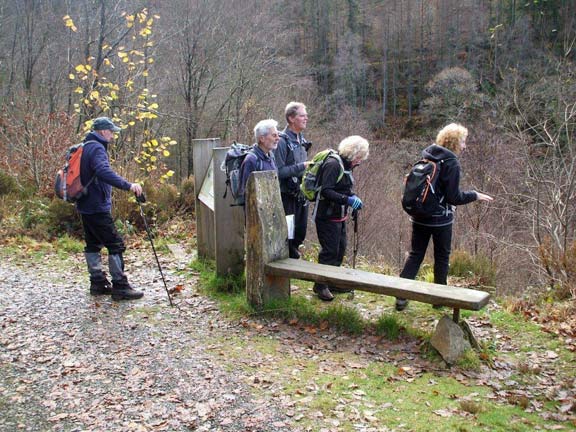 6.Volcano Trail - Coed-y-Brenin
23/11/14. Spectacular views of Rhaeadr Mawddach are being seen by the group. Photo: Dafydd Williams
Keywords: Nov14 Sunday Noel Davey