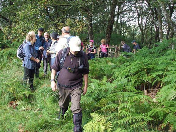 4. Penmaenpool Circular & Y Garn
31/8/14. Both groups take  a short break just outside the woodland near Foel-Ispri-Isaf. Photo: Dafydd Williams
Keywords: Aug14 Sunday Noel Davey