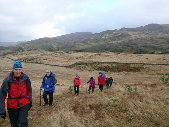 5. Around Moel Dyniewyd
20/12/15. Making tracks west towards Llyn Dinas. 3 spots of rain.
Keywords: Dec15 Sunday Hugh Evans