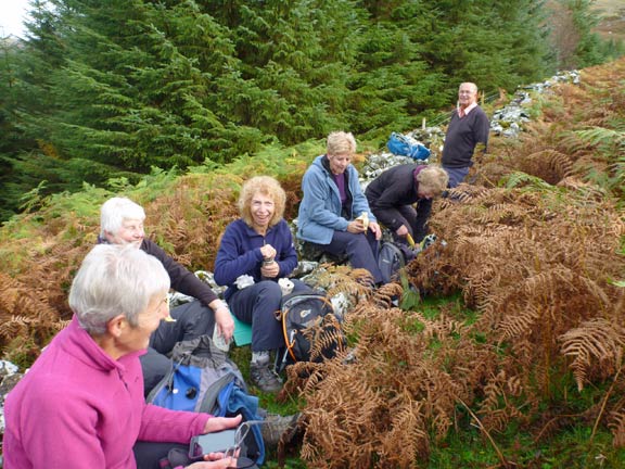 3.Coed y Brenin
25/10/15. At last a coffee break. Just outside the forestry area Ysgwydd-y-glyn.
Keywords: Oct15 Sunday Nick White