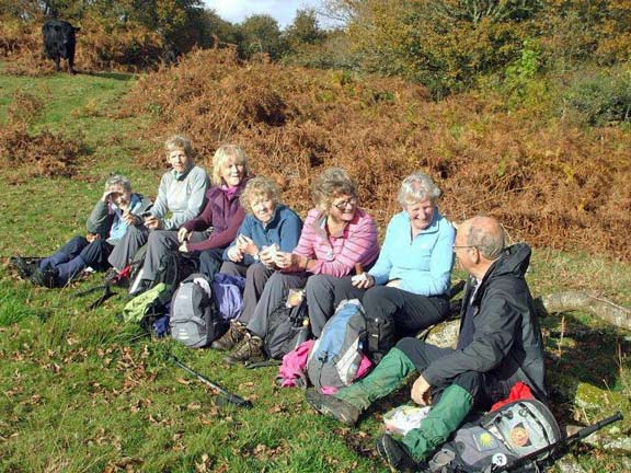 1.Dolgellau
29/10/15. The happy group being regaled by Ian are blissfully unaware of the Welsh Black bullock (top left) intent on joining them.  What happened next?! Photo: Dafydd H Williams.
Keywords: Oct15 Thursday Nick White