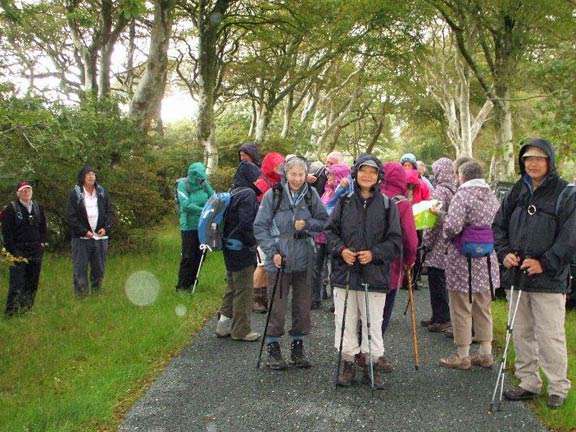 1.Lon Goed
2/9/15. 31 members on the D grade walk. Photo: Dafydd Williams.
Keywords: Sep15 Thursday Dafydd Williams