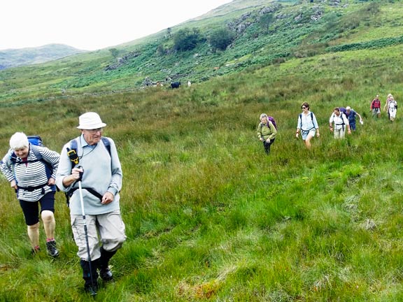 5.Around Moel Hebog
30/8/15. The leader chooses his path carefully. Photo:Roy Milnes
Keywords: Aug15 Sunday Dafydd Williams