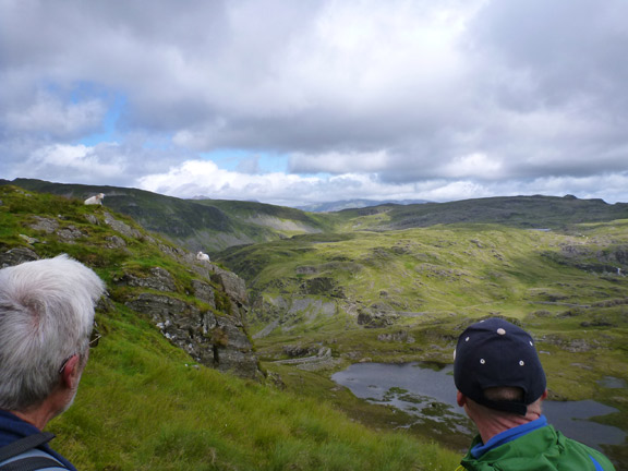 4.Moelwynion
19/7/15. We reach the top above Llyn Croesor. The tip of Y Lliwedd  (one of the peaks climbed two weeks ago) can be seen in the distance just above the riight hand sheep.
Keywords: Jul15 Sunday Hugh Evans