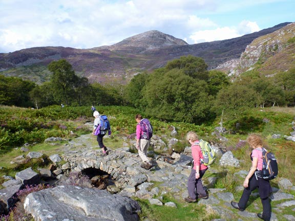 7.Rhinog Fawr
13/9/15. Soon after rejoining the Roman Steps. 'Clip' can be seen in the centre background with the Craig Wion ridge to its right.
Keywords: Sep15 Sunday Noel Davey