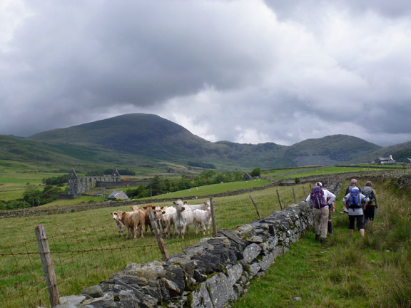 2.Tremadog – Cwm Ystradllyn circ
2/8/15.  Close to Meinir Hirion we turn north east. Moel Hebog in the background.
Keywords: Aug15 Sunday Ian Spencer