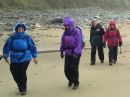 Filename=Porth-Ceiriad-02.jpg
Filesize=69KiB
Dimensions=576x432
Date added=Nov 10, 2015 Porth-Ceiriad-02.jpg