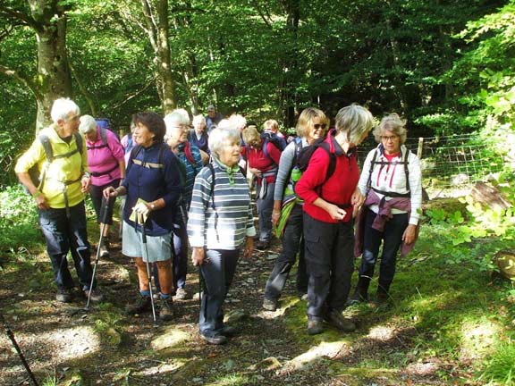 1.Betws-y-Coed, Conwy Gorge
29-9/16. Photo: Dafydd Williams.
Keywords: Sep16 Thursday Dafydd Williams