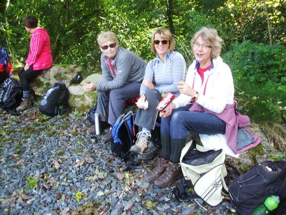 5.Betws-y-Coed, Conwy Gorge
29-9/16. Lunch stop close to Machno Falls.  Photo: Dafydd Williams.
Keywords: Sep16 Thursday Dafydd Williams