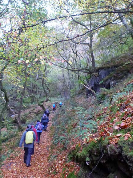 2.Cregennen Lakes from Arthog
6/11/16. Walking up through the forest from Arthog, close to the Arthog Waterfalls.
Keywords: Nov16 Sunday Noel Davey Dafydd Williams