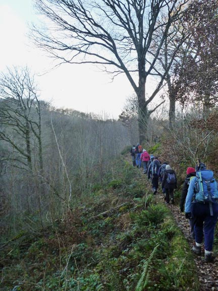 6.Maentwrog-Llyn Trawsfynydd
4/12/16. On our way through the  the Ceunant Llennyrch National Nature Reserve; the oaks completely denuded of  leaves.
Keywords: Dec16 Sunday Hugh Evans Dafydd Williams