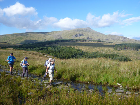 7.Moel Druman.
28/8/16. Just beyond the sheep folds at the base of Foel Goch.  Moel Siabod in the background. Just one mile to go and it is all on some sort of road.
Keywords: Aug16 Sunday Hugh Evans