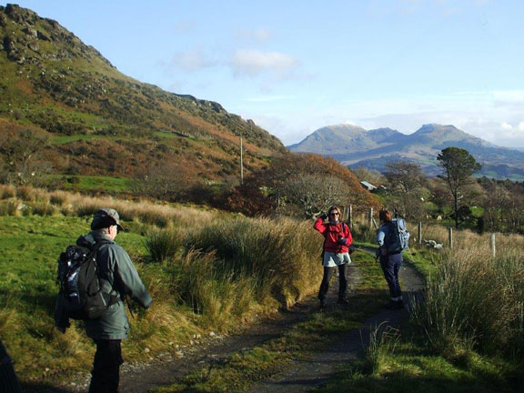 2.Mynydd Gorllwyn
04/11/16. On the single track road 300ft and SW of Mynydd Gorllwyn. Photo: Dafydd Williams.
Keywords: Nov16 Sunday Tecwyn Williams