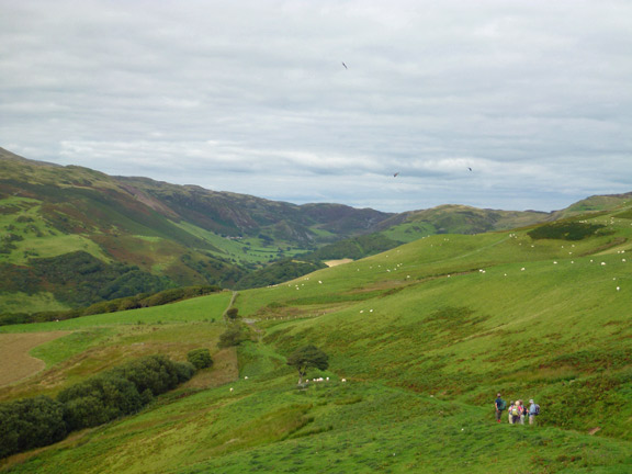 7.Pennal to Aberdyfi
14/8/16. Looking back down into Happy Valley. Three buzzards circling ominously over our tail enders. Just over a mile to go. 
Keywords: Aug16 Sunday Dafydd Williams