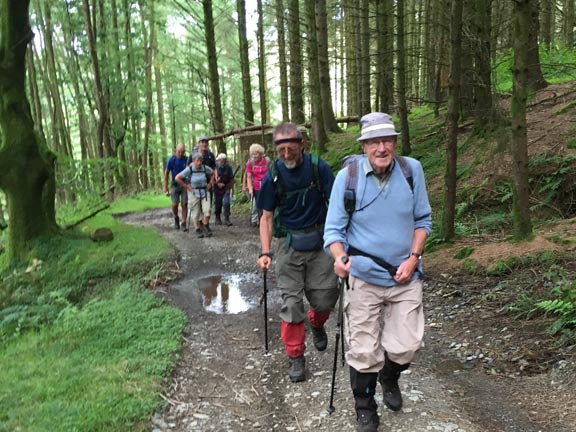 6.Pennal to Aberdyfi
14/8/16. Starting the trek out of Happy Valley in woodland just after Dyffryn-gwyn farm. Photo: Heather Stanton.
Keywords: Aug16 Sunday Dafydd Williams