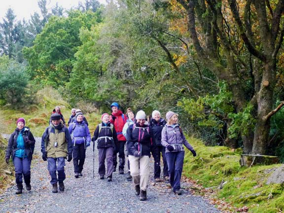 7.Ro Wen
23/10/16.  Further down and closer to the end. There is time to appreciate the waterfalls in the mountain stream (Afon Bwlch-y-Groes) to our left. 
Keywords: Oct16 Sunday Judith Thomas