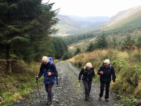 3.Ro Wen
23/10/16. Half way up through the forest in Cwm Penamner. Photo: Heather Stanton.
Keywords: Oct16 Sunday Judith Thomas