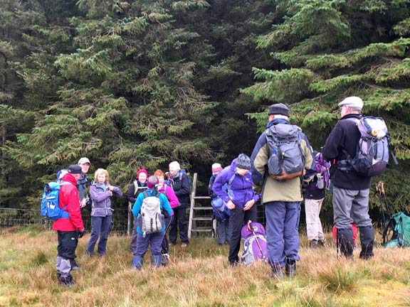 4.Ro Wen
23/10/16. Finally we emerge from the forestry at the head of the valley. Photo: Heather Stanton.
Keywords: Oct16 Sunday Judith Thomas