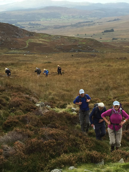 2.Clipping Harey Walk
9/10/16.  The long steep climb from the track up to Foel Penolau. Photo: Heather Stanton.
Keywords: Oct16 Sunday Roy Milnes