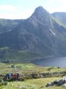 Filename=CarneddDafydd-079.jpg
Filesize=70KiB
Dimensions=432x576
Date added=Sep 13, 2016 CarneddDafydd-079.jpg