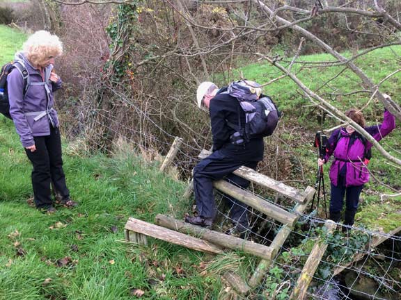 5.Across Llyn
19/11/17. The a lot of the styles early on in the walk were in a poor state of repair. This caused even our most experienced walkers to take the crossing carefully. Photo: Anet Thomas.
Keywords: Nov17 Sunday Judith Thomas