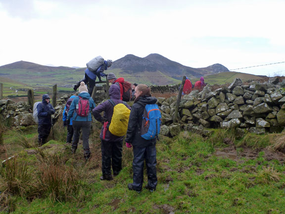 5.Clynnog Hills
31/12/17. Passing south of Gyrn Ddu with Mynydd Carnguwch, Tre'r Ceiri, and yr Eifl in the background to the WSW.
Keywords: Dec17 Sunday Noel Davey
