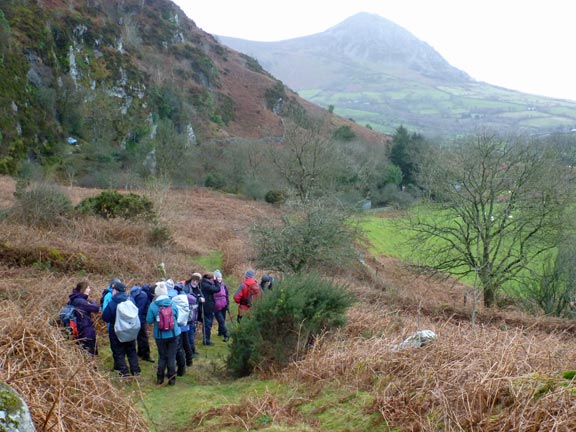 6.Clynnog Hills
31/12/17. Nearly at the bottom where we turn NE, parallel to the main Pwllheli-Caernarfon road.
Keywords: Dec17 Sunday Noel Davey