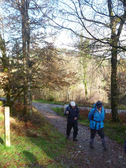6.Coed y Brenin
5/11/17. A bit further on from the bridge we turn north again.
Keywords: Nov17 Sunday Noel Davey