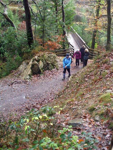 2.Coed y Brenin
5/11/17. Crossing over the Afon Mawddach near Daren Wyddan. Photo: Dafydd Williams
Keywords: Nov17 Sunday Noel Davey