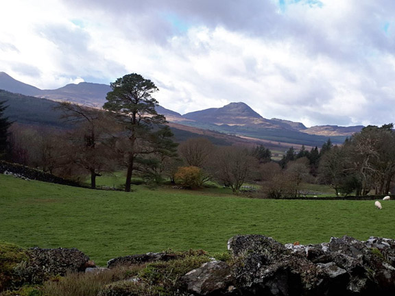 7.Coed y Brenin
5/11/17. A glimpse of the Rhinogs as we get out of the forest for a short while. Photo: Judith Thomas
Keywords: Nov17 Sunday Noel Davey