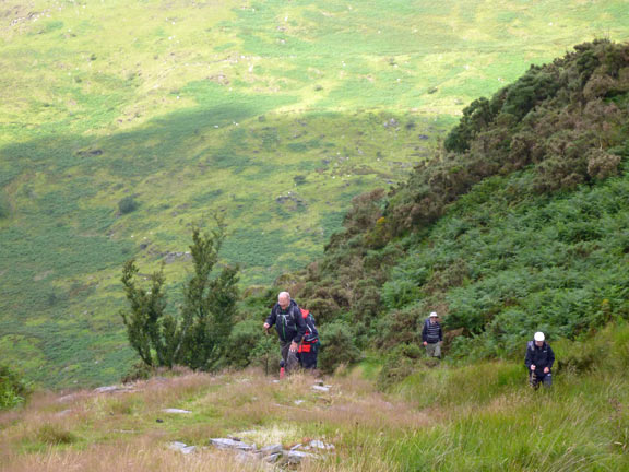 4.Cwm Pennant
30/7/17. The steep climb up to the bed of a disused railway which led us back alongside the cwm.
Keywords: Jul17 Sunday Kath Mair