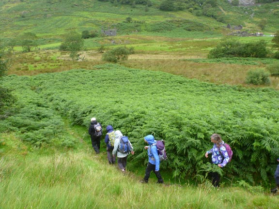 8.Cwm Pennant
30/7/17. The circle completed we made our way down back to the carpark.
Keywords: Jul17 Sunday Kath Mair