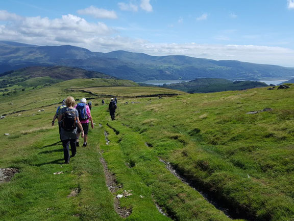 6.Diffwys South
16/7/17. The end almost in sight as we walk down the Braich straight back to the car park at Banc y Fran, Photo: Judith Thomas.
Keywords: jul17 Sunday Hugh Evans
