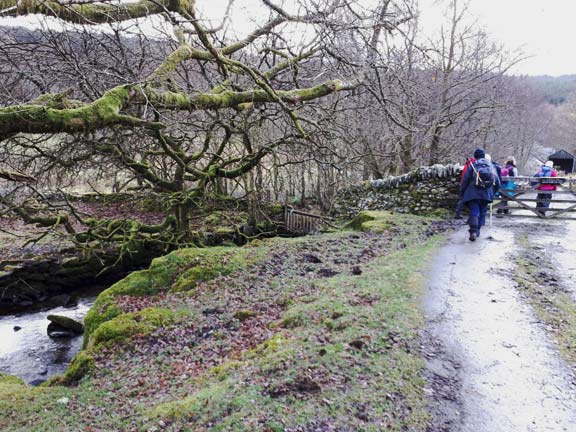 3.Dolwyddelan-Ty Mawr Wybrnant
3/12/17. Photo: judith Thomas.
Keywords: Dec17 Sunday Dafydd Williams