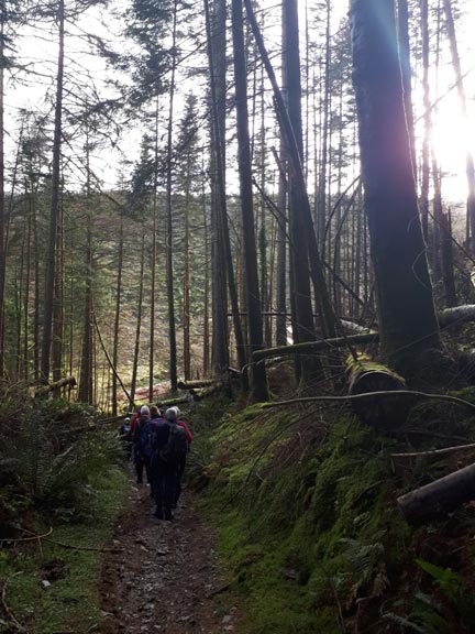 5.Dolwyddelan-Ty Mawr Wybrnant
3/12/17. Making towards the setting sun as we close up on the end of the walk. Photo: judith Thomas.
Keywords: Dec17 Sunday Dafydd Williams