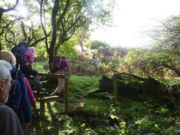 2.Round Llyn Tegid/Bala
8/10/17. Out of Bala south on the B4391 after a challenging climb we are just emerging  from Fridd Fach-ddeiliog at about 920ft.  Still quite a bit of climbing to do.
Keywords: Oct17 Sunday Heather Stanton