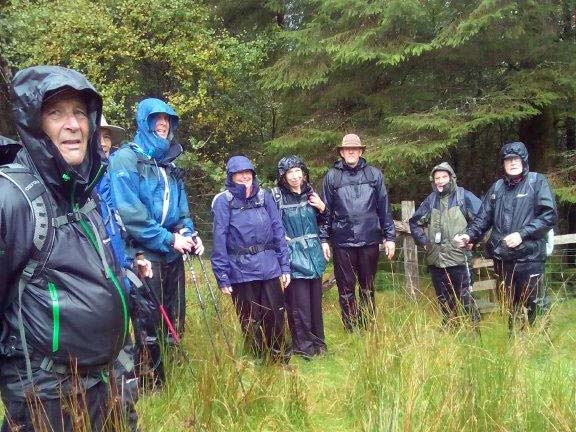 5.Penmachno Circular
10/9/17. Somebody seems to not be enjoying the rain. We did enjoy our lunch out of the rain and managed to find a very welcome cafe for tea. sorry no photographs of these events. Photo: Tecwyn Williams.
Keywords: Sep17 Sunday Tecwyn Williams