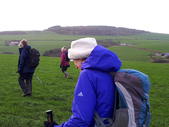 5.Sarn Meyllteyrn
7/12/17. Mynydd Cefnamwlch in the background. Photo: Judith Thomas.
Keywords: Dec17 Thursday Ann Jones
