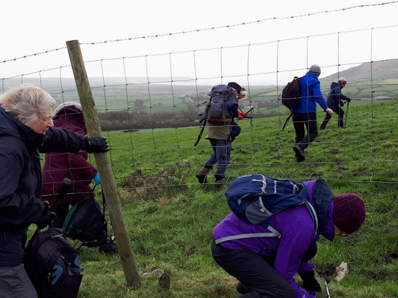 6.Sarn Meyllteyrn
7/12/17. They would have to put a fence there, with lunch so close. Photo: Judith Thomas.
Keywords: Dec17 Thursday Ann Jones
