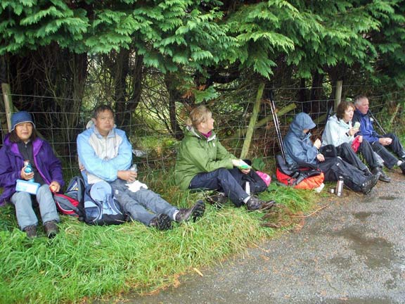 2.Cronfa Tanygrisiau Reservoir
31/8/17. Trying for a bit of shelter. Photo: Dafydd Williams.
Keywords: Aug17 Thursday Tecwyn Williams