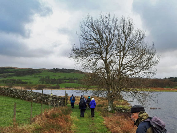 3.Tomen-y-Mur, Trawsfynydd
23/11/17. We will now move away from the lake as we walk east to cross over to the Tomen-y-Mur side of the Porthmadog- Dolgellau main road. Photo: Judith Thomas.
Keywords: Nov17 Thursday Nick White