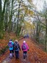 Filename=CoedYBrenin-011.jpg
Filesize=70KiB
Dimensions=432x576
Date added=Nov 10, 2017 CoedYBrenin-011.jpg
