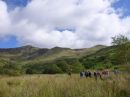 Filename=CwmPennant-006.jpg
Filesize=69KiB
Dimensions=576x432
Date added=Jul 31, 2017 CwmPennant-006.jpg
