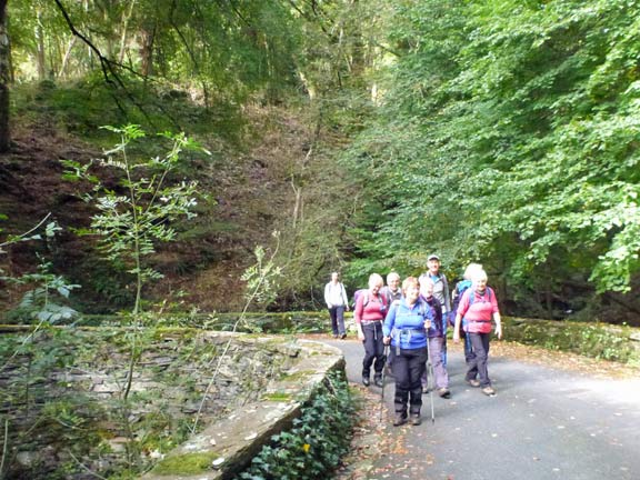 3. Afon Dwyryd. A walk.
7/10/18. On the Plas Tan-y-Bwlch drive as it descends towards the Oakley Arms.
Keywords: Oct18 Sunday Hugh Evans