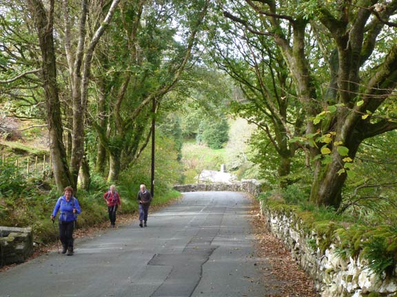 4. Afon Dwyryd. A walk.
7/10/18. The long climb out of Maentwrog on the Gellilydan road. It doesn't take this long by car. 
Keywords: Oct18 Sunday Hugh Evans