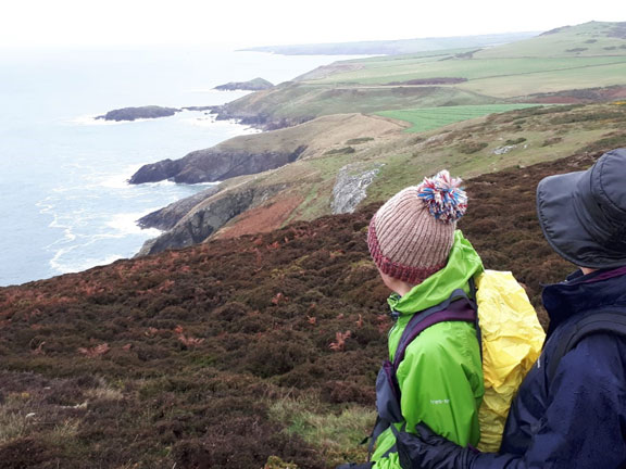 4.Carreg - Mynydd Anelog
8/11/18. Looking north west. Photo: Judith Thomas.
Keywords: Nov18 Thursday Ann Jones