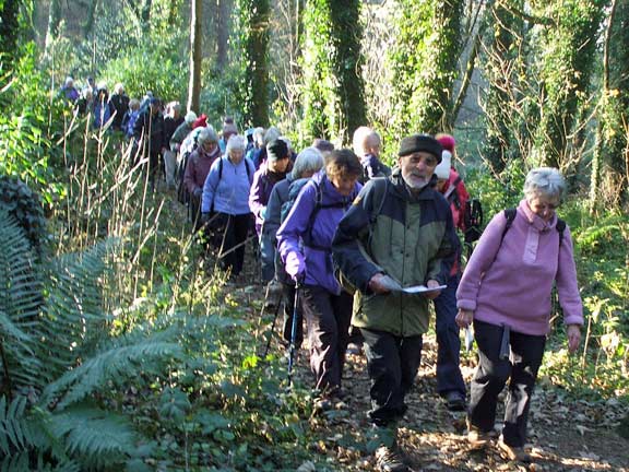 1.Parc Glynllifon
22/11/18. Photo: Dafydd Williams.
Keywords: Nov18 Thursday Miriam Heald