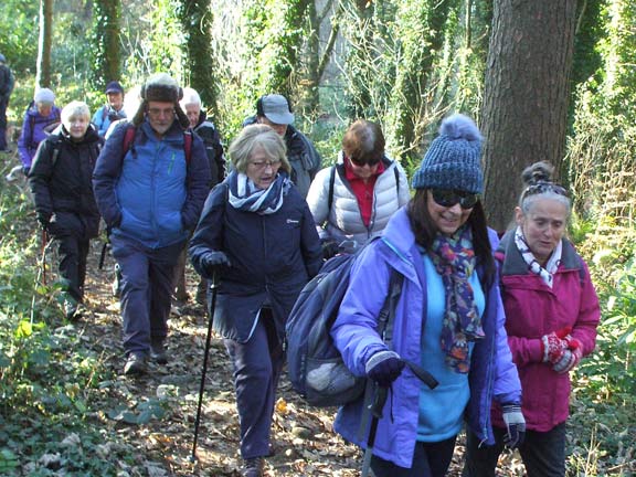 2.Parc Glynllifon
22/11/18. A walk of around 2 miles following the various paths in the parc. Photo: Dafydd Williams.
Keywords: Nov18 Thursday Miriam Heald