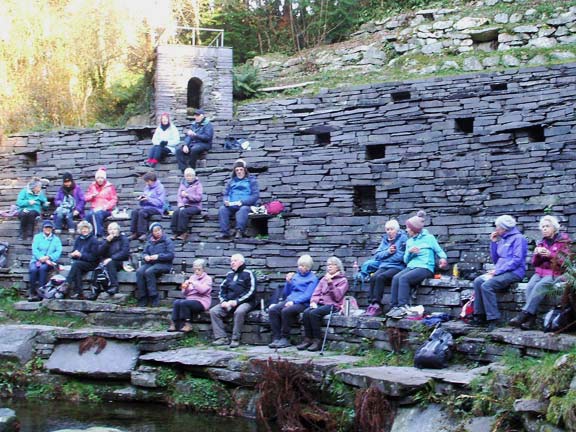 6.Parc Glynllifon
22/11/18. Lunch time entertainment in the ampitheatre provided by the wandering minstrels . Photo: Dafydd Williams.
Keywords: Nov18 Thursday Miriam Heald